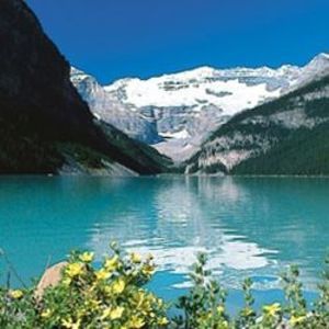 Meet your Posher, Anne